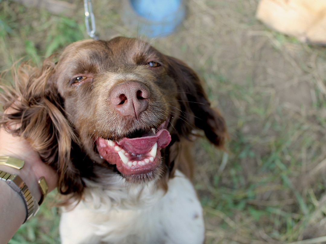 Memo's Boutique Guesthouse主图