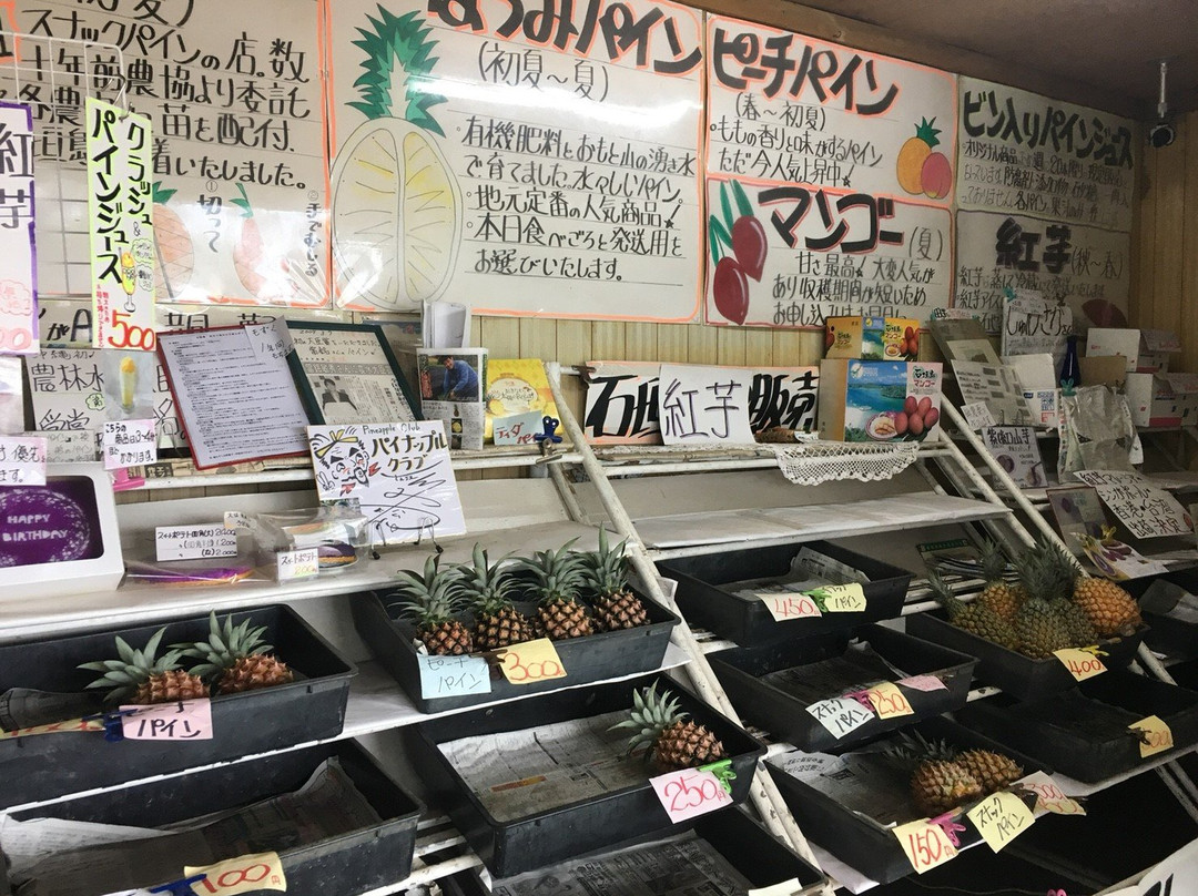Ishigakijima Pineapple Club景点图片