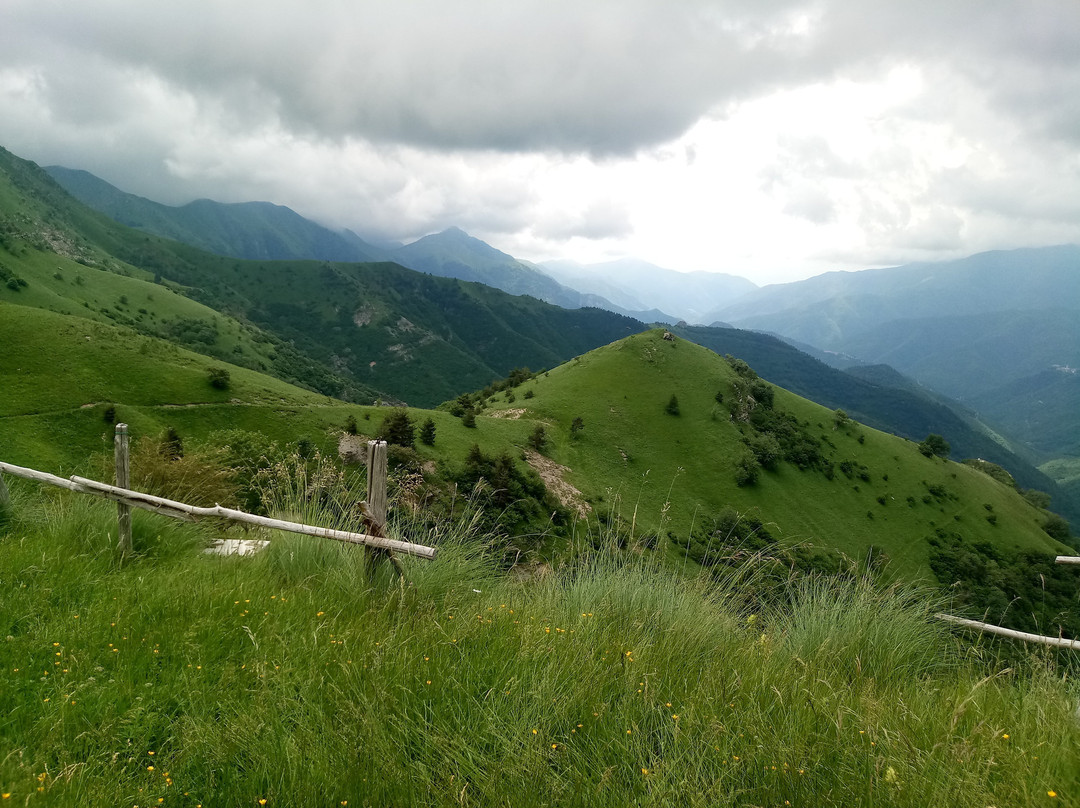 Parco Alpi Liguri景点图片