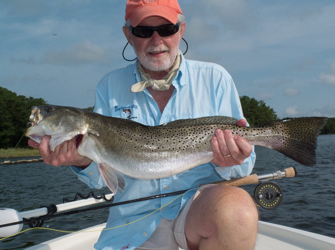Bay Fly Fishing景点图片