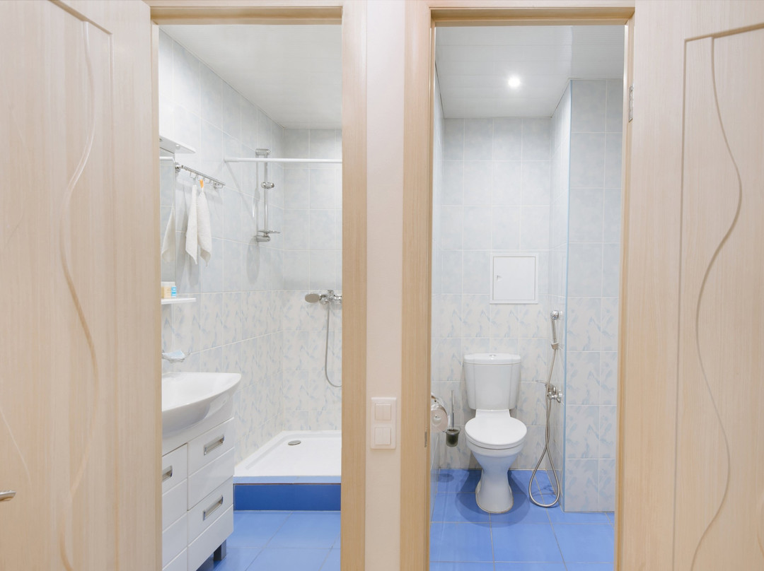 Mini Hotel Levoberezhny主图