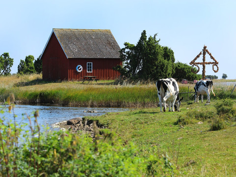Torsas Turistbyra-Bergkvara必去景点