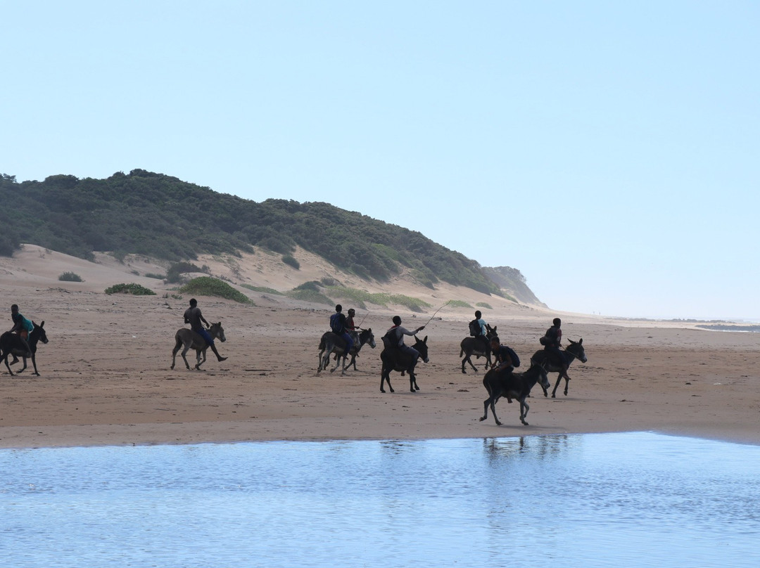 The Haven Hotel主图