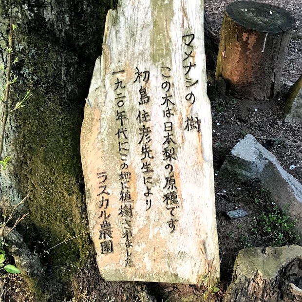 Hitatoribaru Orchards-日田市必去景点