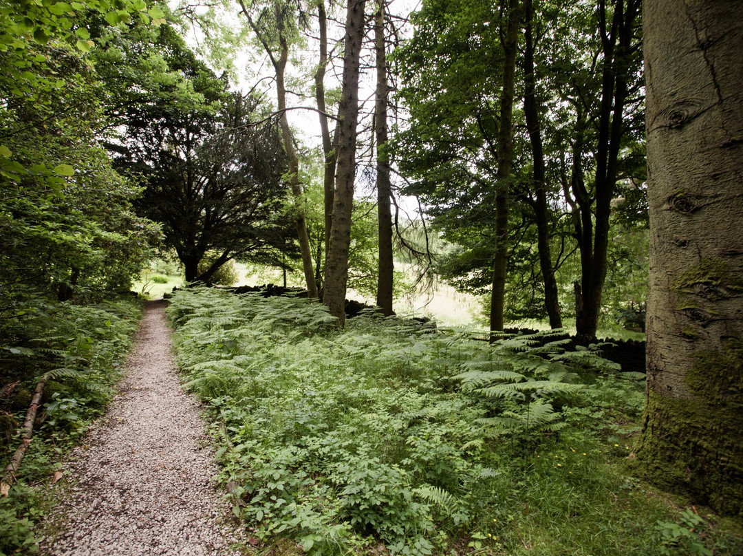 Lancrigg - Wordsworths Woodland Walks景点图片