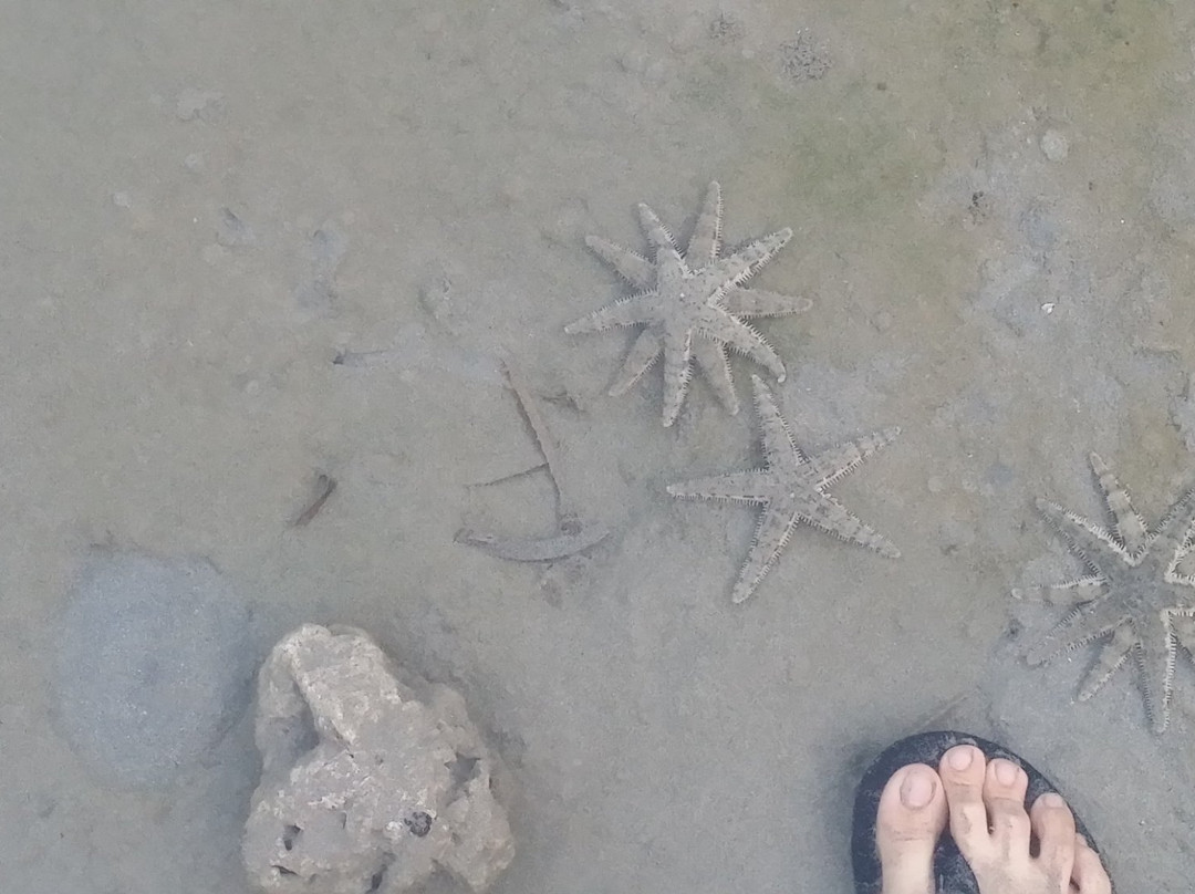 马塔布凯海滩度假村及酒店主图