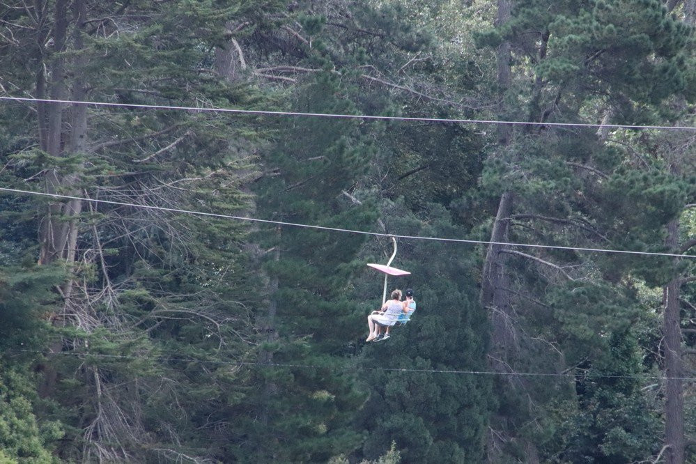 Cataract Gorge Scenic Chairlift景点图片