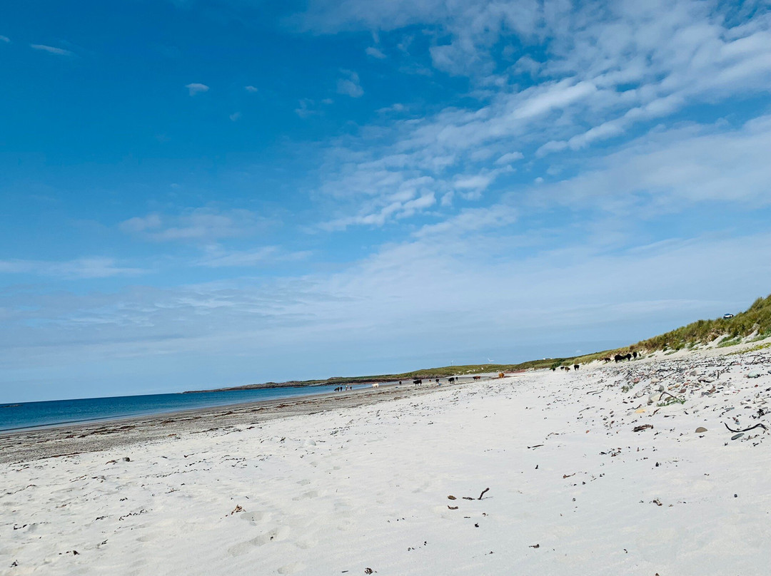 Balinoe Campsite Tiree