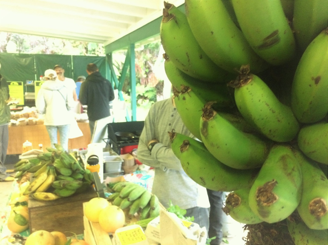 库柏中心-火山必去景点