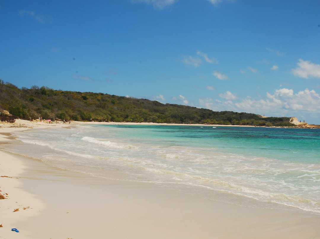 365 Beaches-圣 约翰必去景点