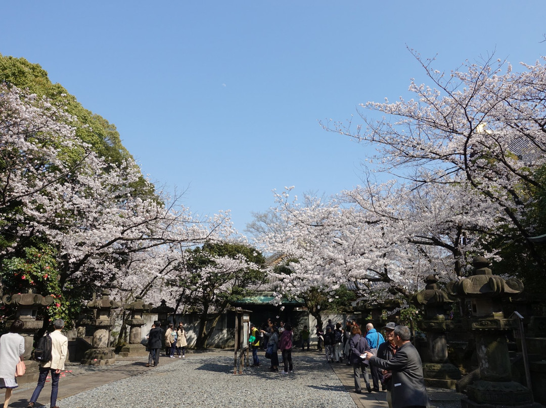 Tokugawa Estate Mausoleum景点图片