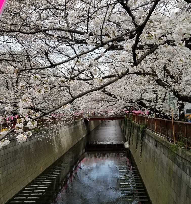 Saigoyama Park景点图片