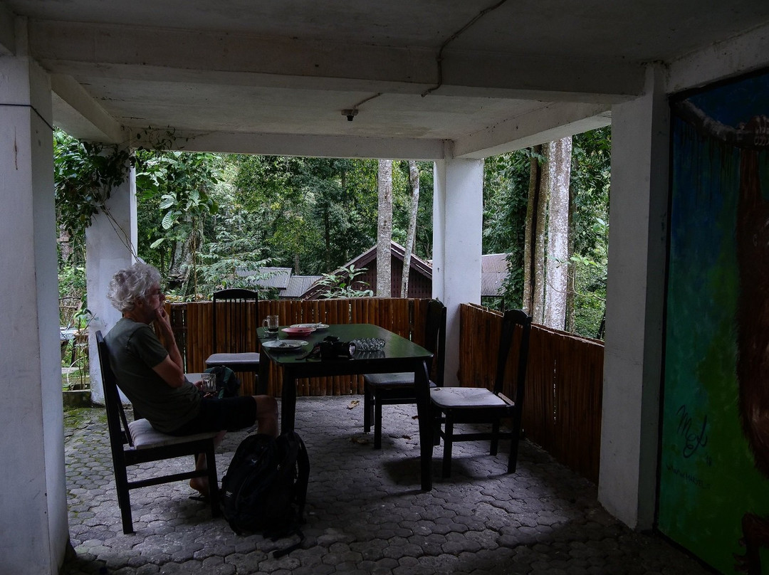 Ketambe Tour - Trekking & Rafting-Ketambe必去景点