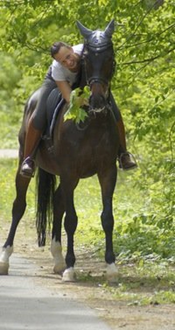 Kronshtadt Equestrian Club-喀琅施塔得必去景点