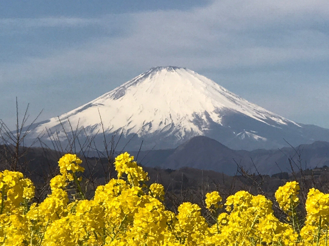 Azumayama Park-二宫町必去景点