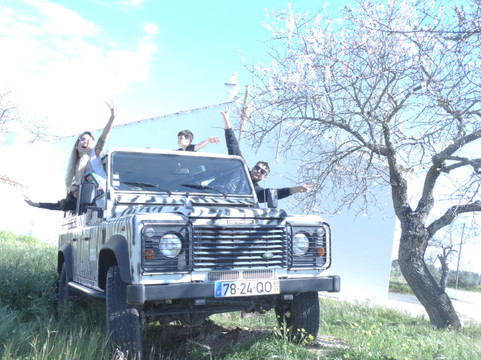 Zebra Safari Tours-阿尔布赞拉必去景点