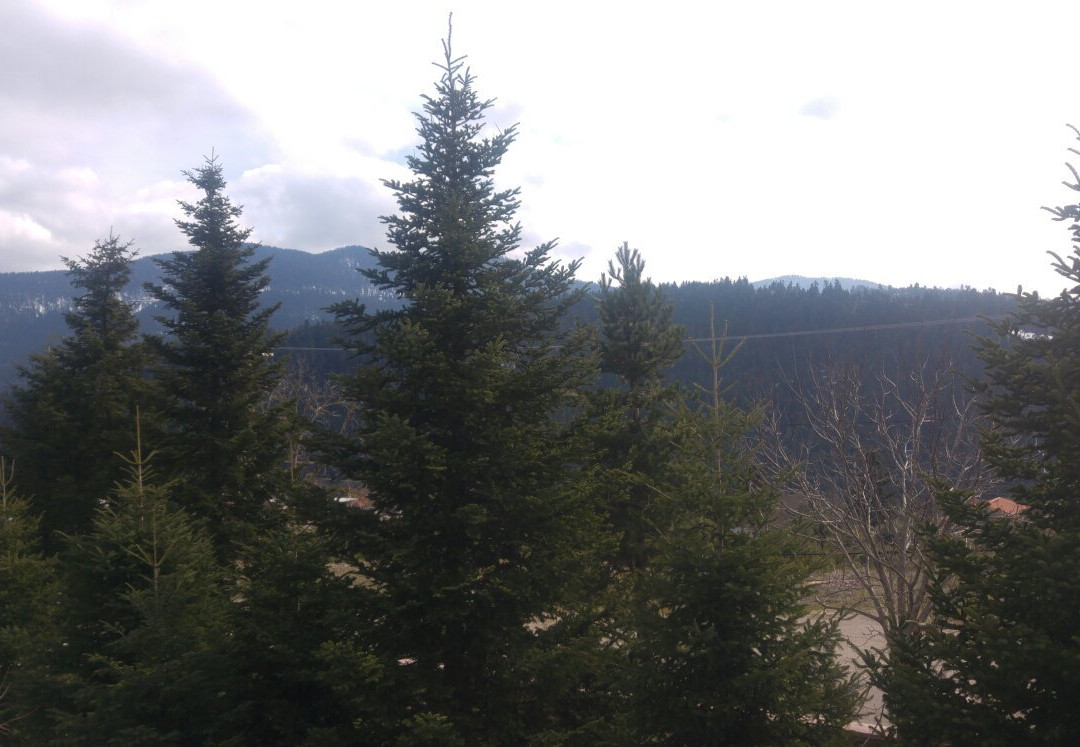 Mountain House主图