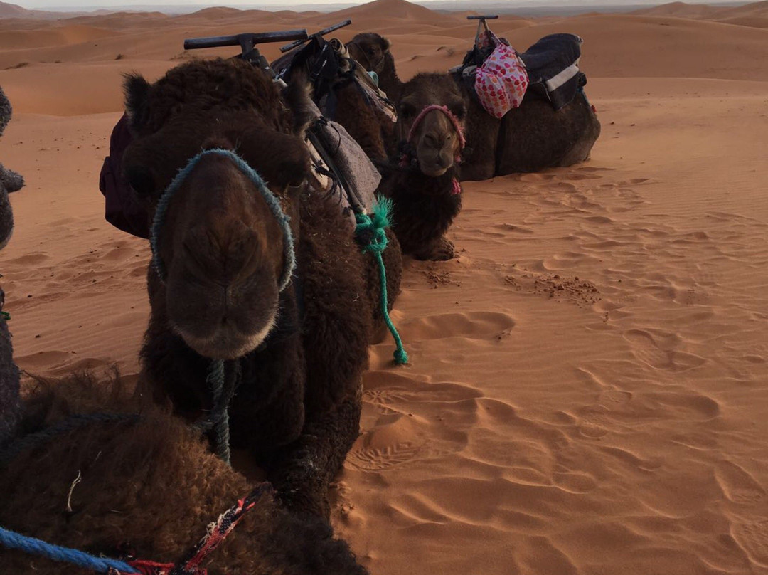 Wonder Tour in Morocco-Hassilabied必去景点