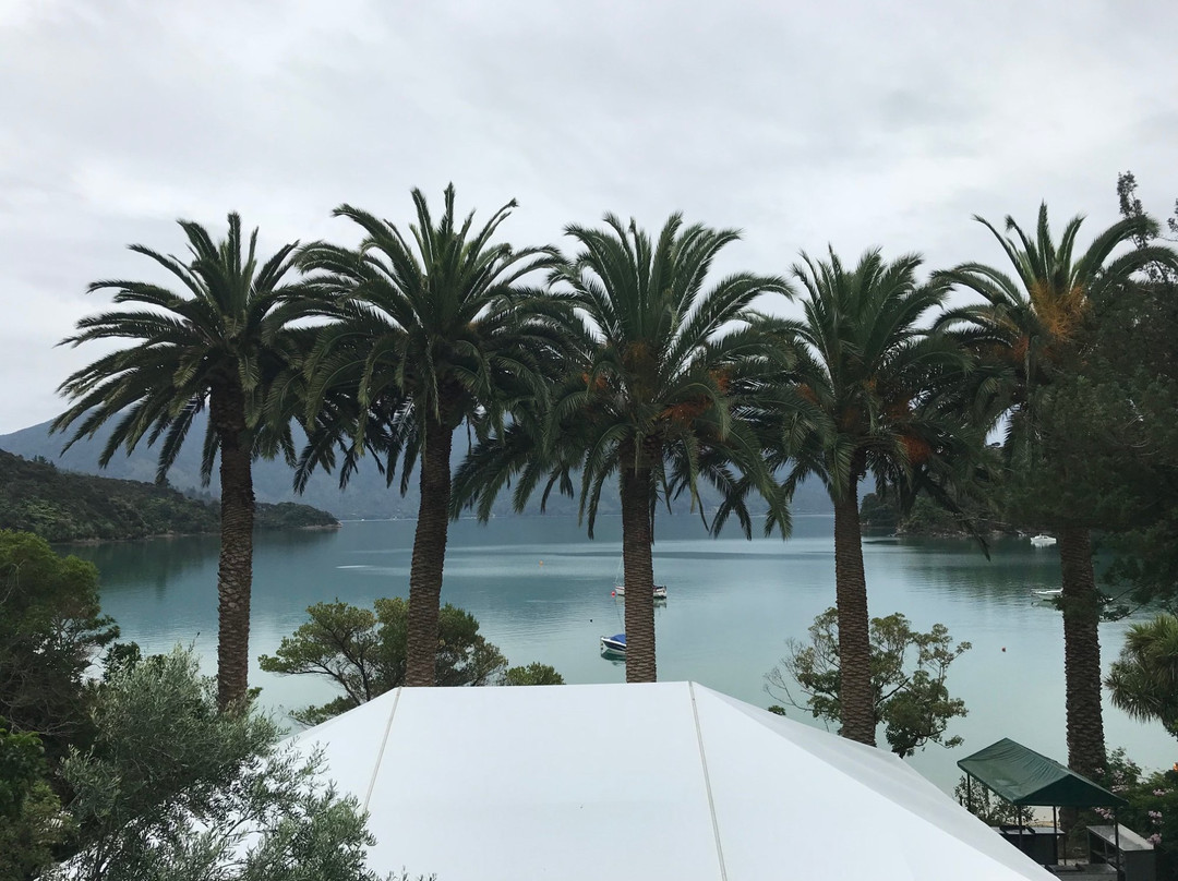 Te Mahia Bay Resort主图