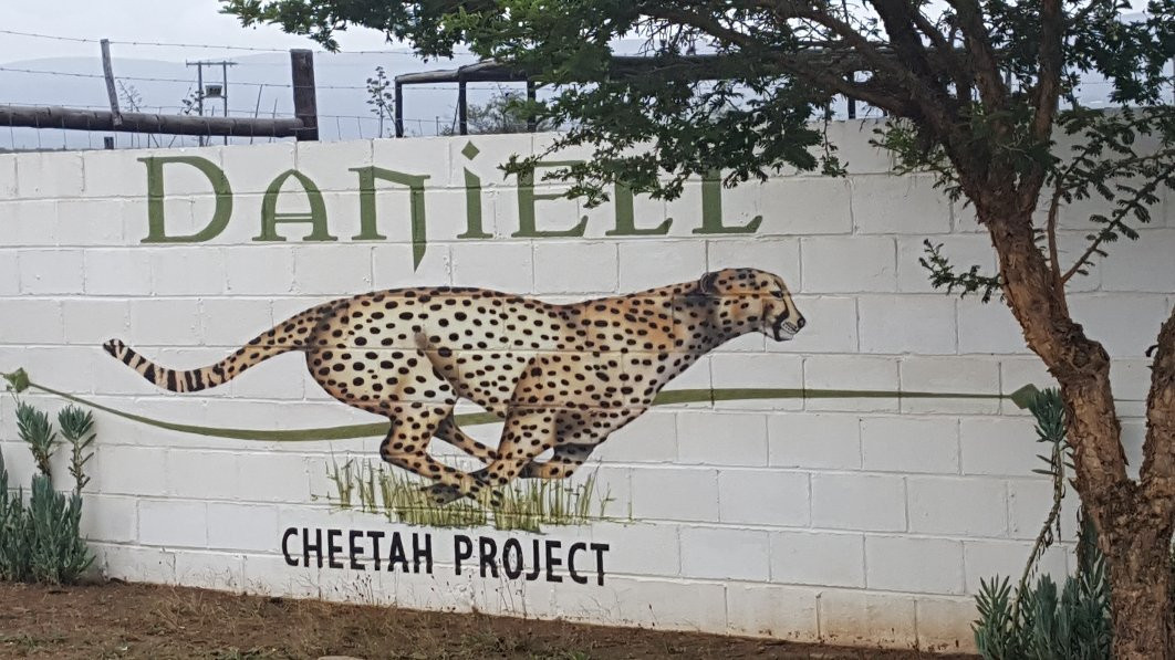 Daniell Cheetah Project景点图片