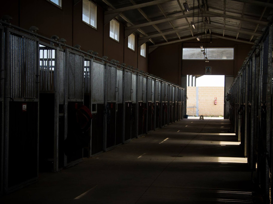 Hípica Los Aires de Jarama-Fuente El Saz De Jarama必去景点