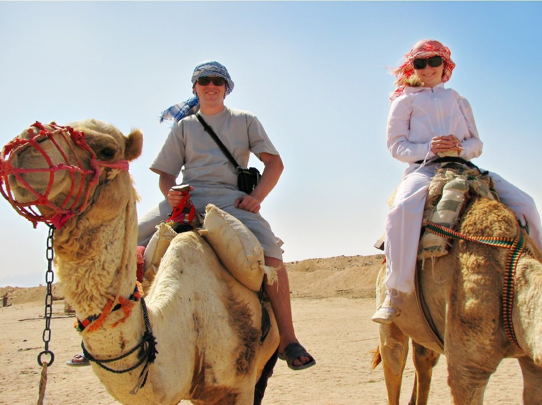 Funtom Experience-Ness Ziona必去景点