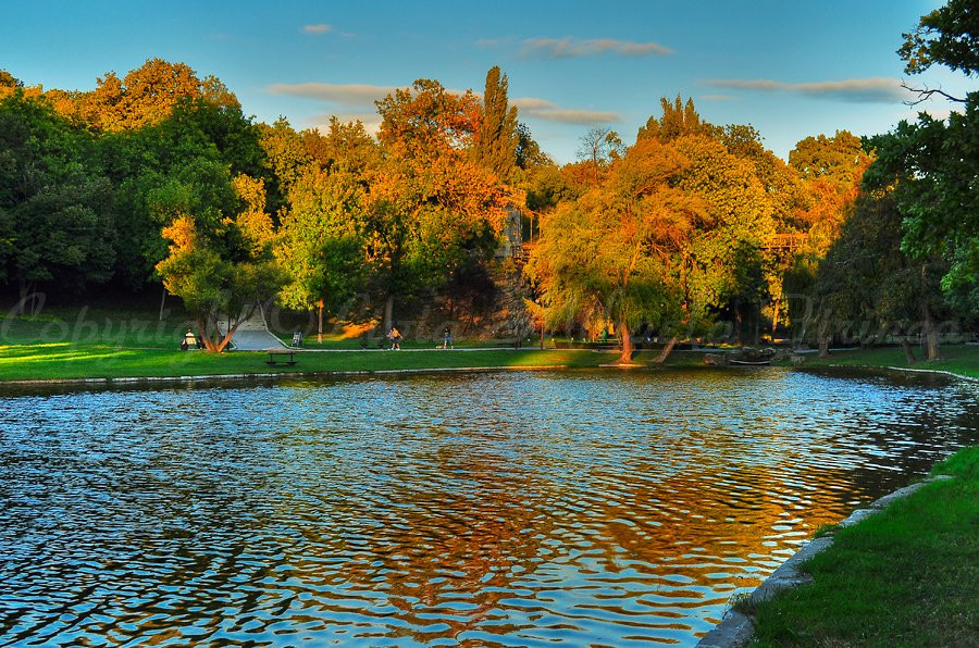 Parcul Nicolae Romanescu景点图片