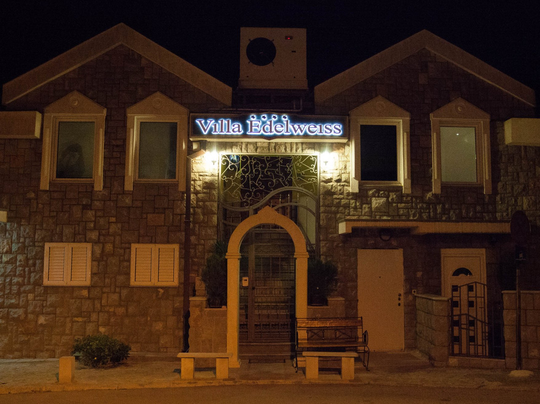 Villa Edelweiss主图
