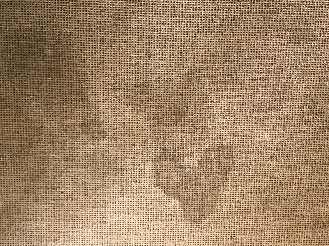 The Historic Hogsback Inn主图