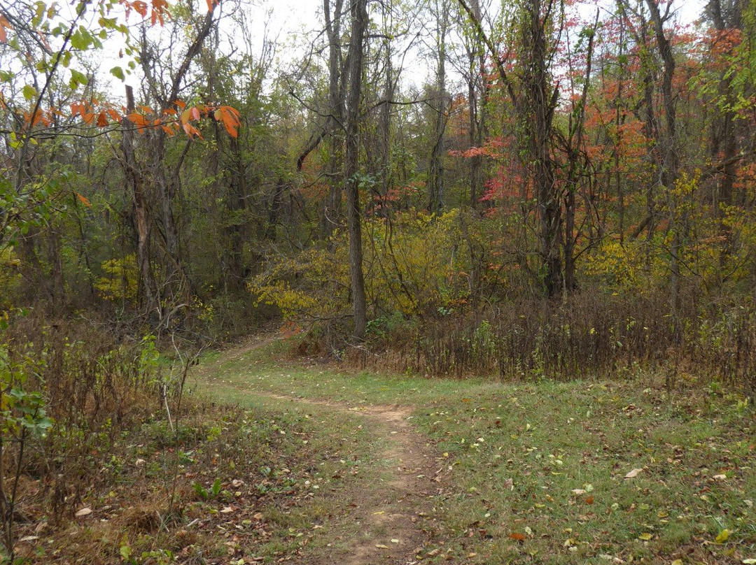 Montgomery Hall Park-斯汤顿必去景点
