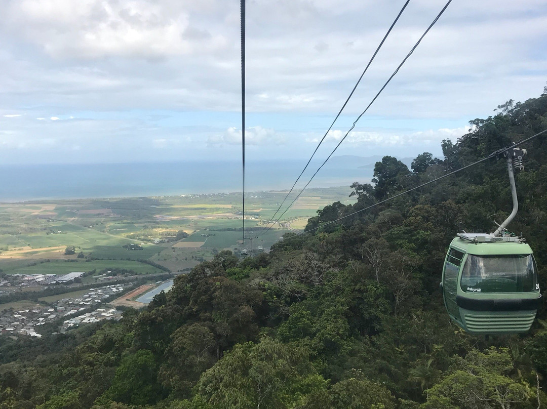 Down Under Tours - Day Tours-凯恩斯必去景点