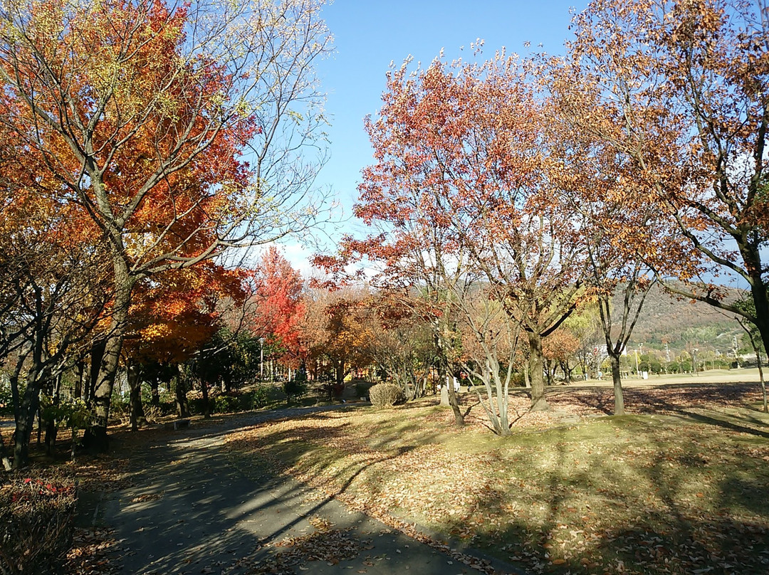 Nagara Park-岐阜市必去景点