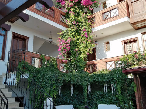 圣母玛利亚之家民宿