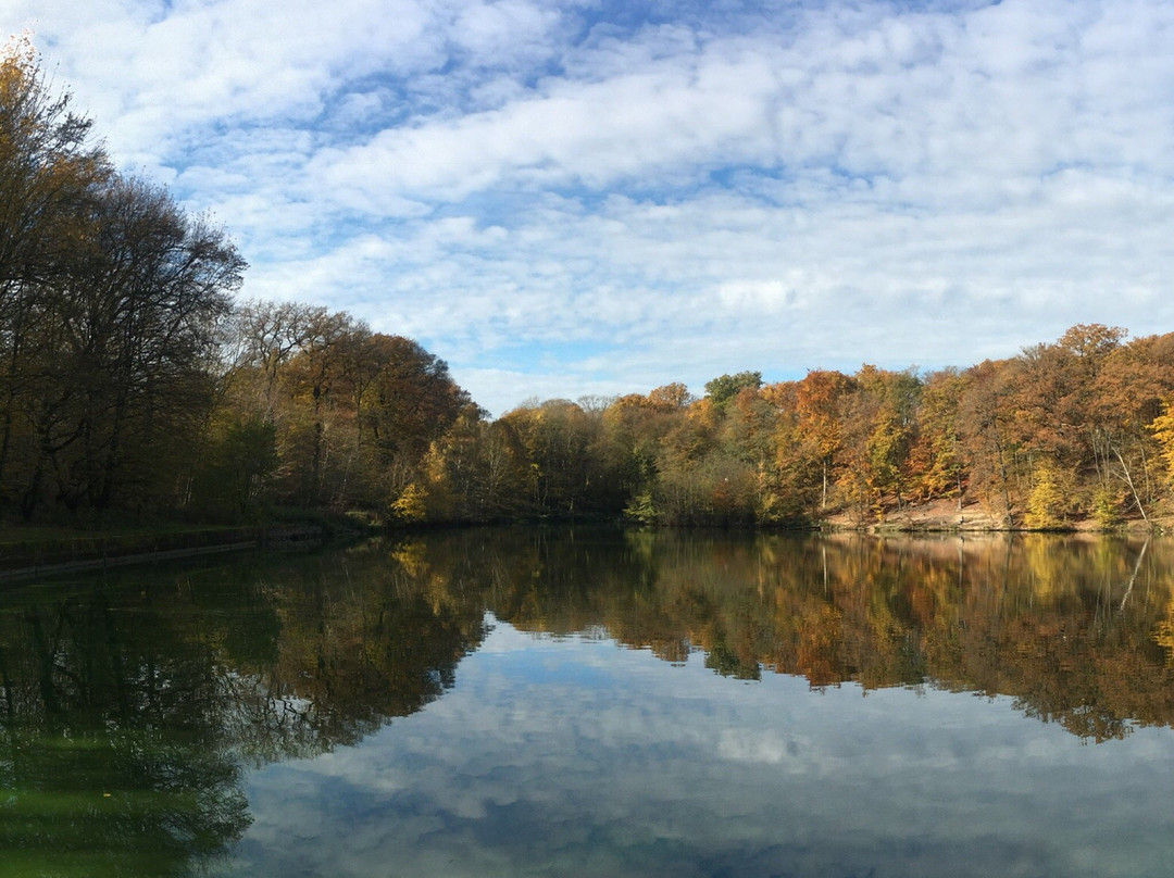 Forêt Domaniale de Meudon-默东必去景点