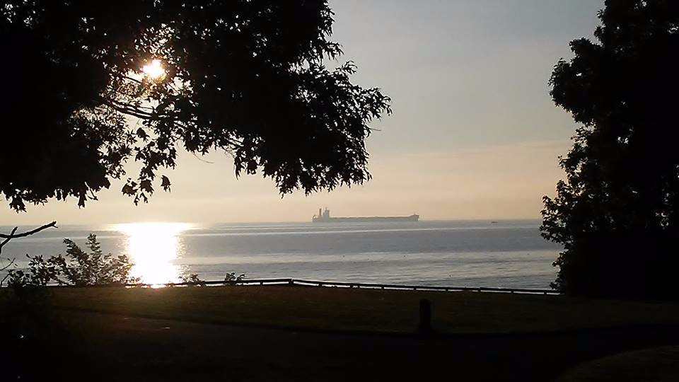 Downs Park-Pasadena必去景点