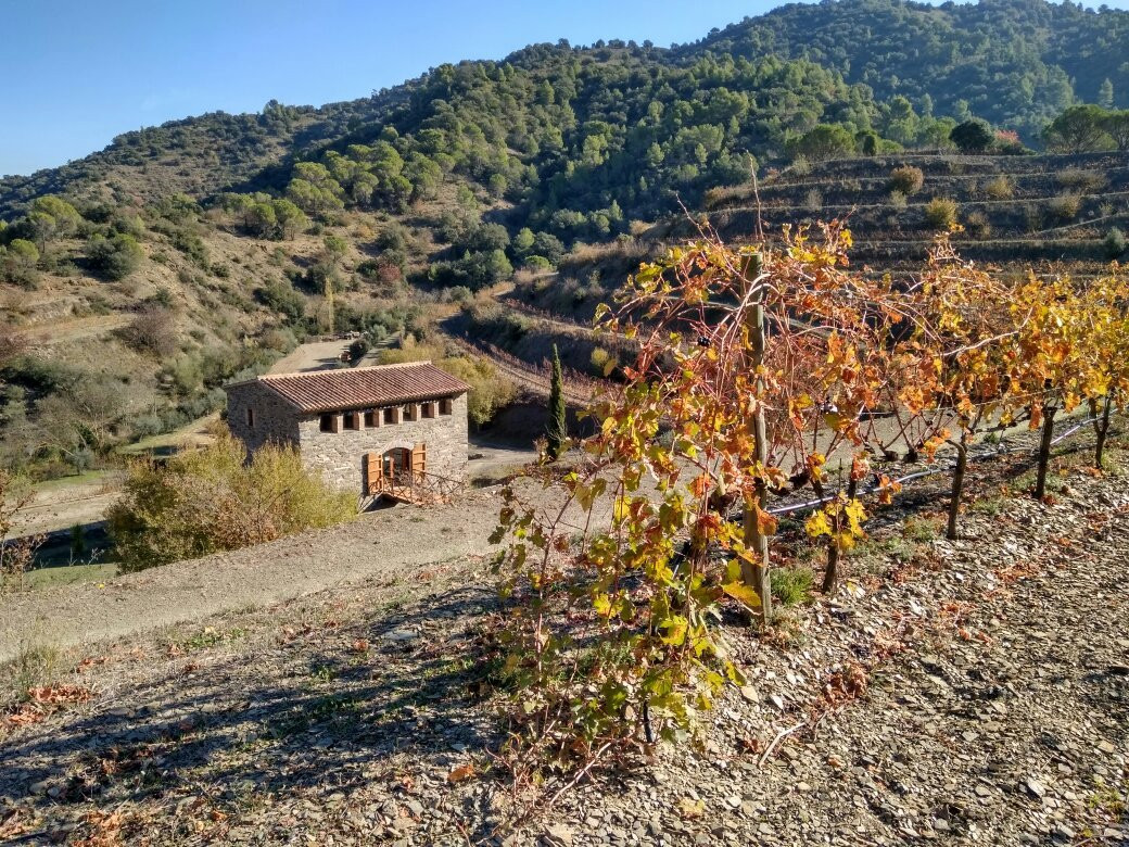 Celler Burgos Porta景点图片