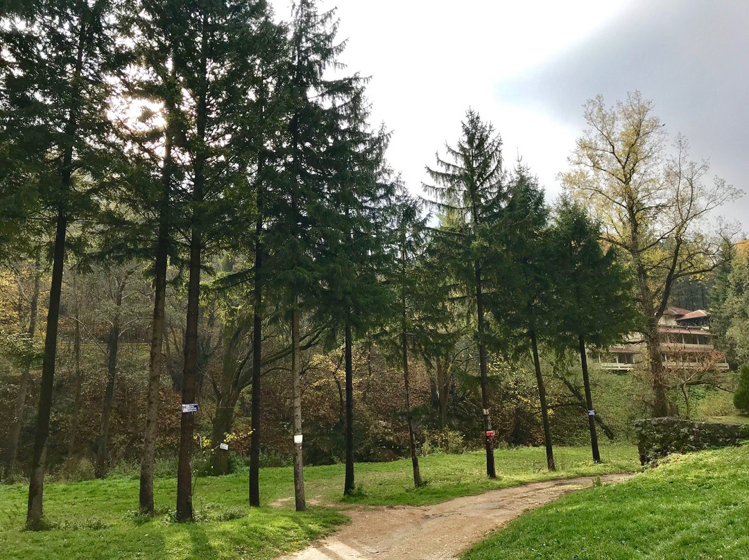 Petrovac旅游攻略图片