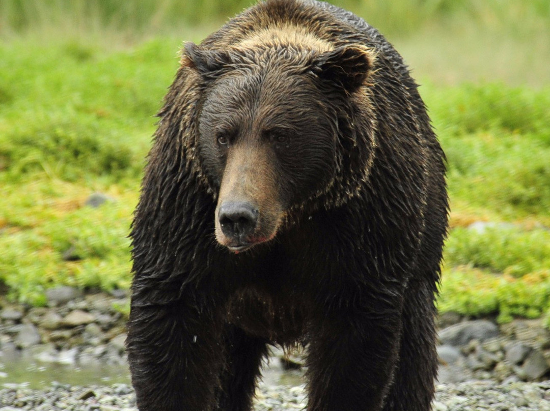 Petersburg Visitor Information Center-Petersburg必去景点