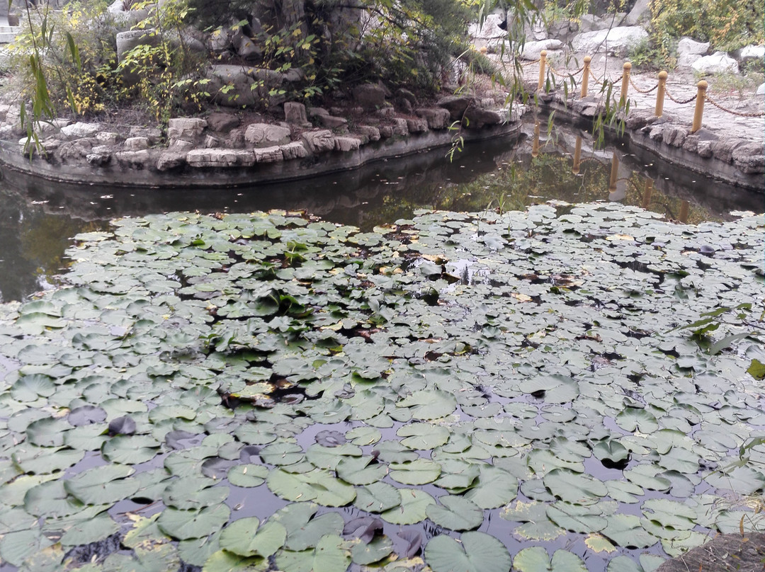 聊斋城-淄博市必去景点