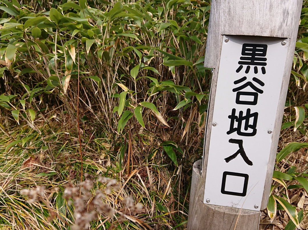 Kuroyachi Wetland-八幡平市必去景点