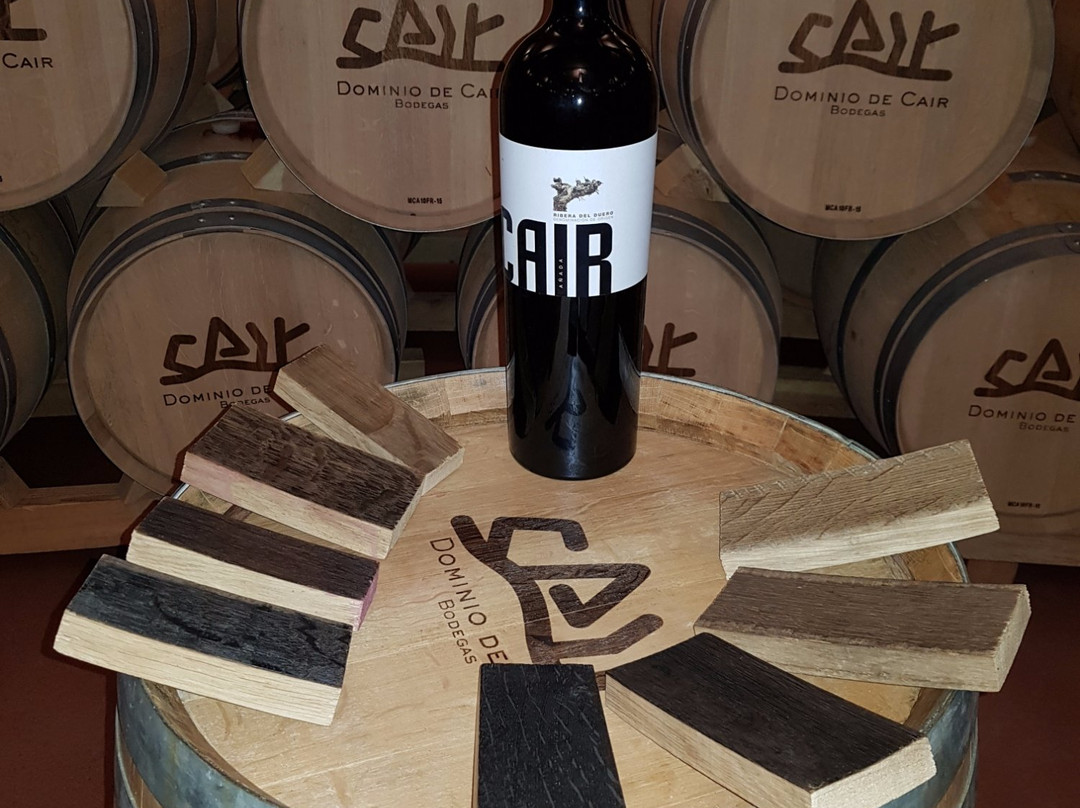 Bodegas Dominio de Cair景点图片