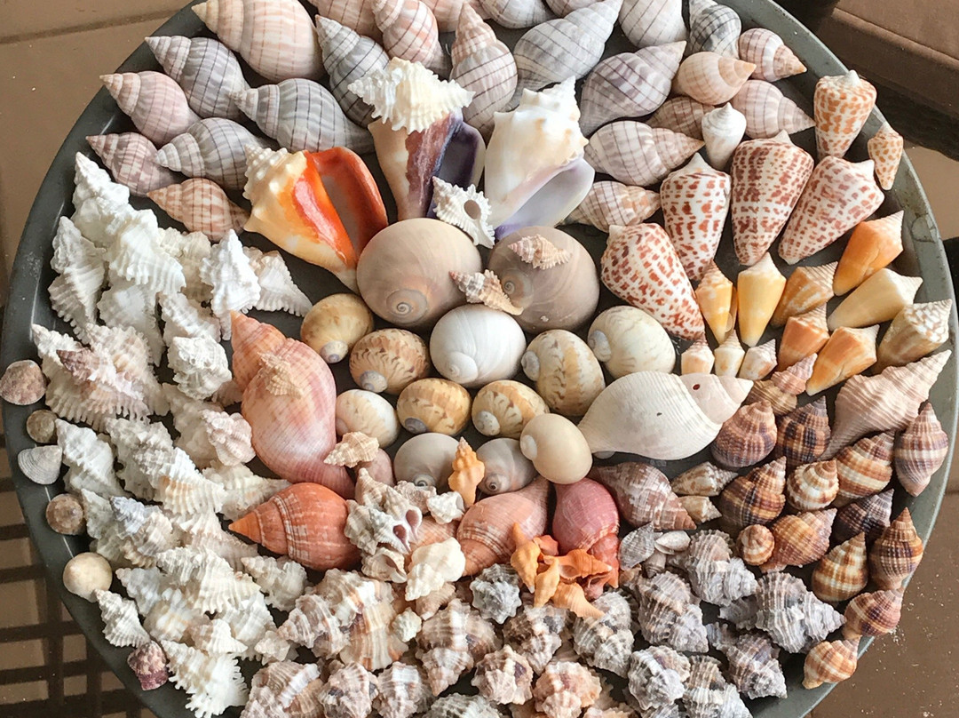 Reel Kind Fishing and Tours-Goodland必去景点