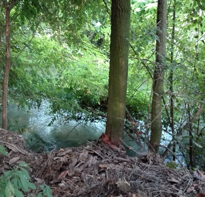 Parco del Tinazzo-Soncino必去景点