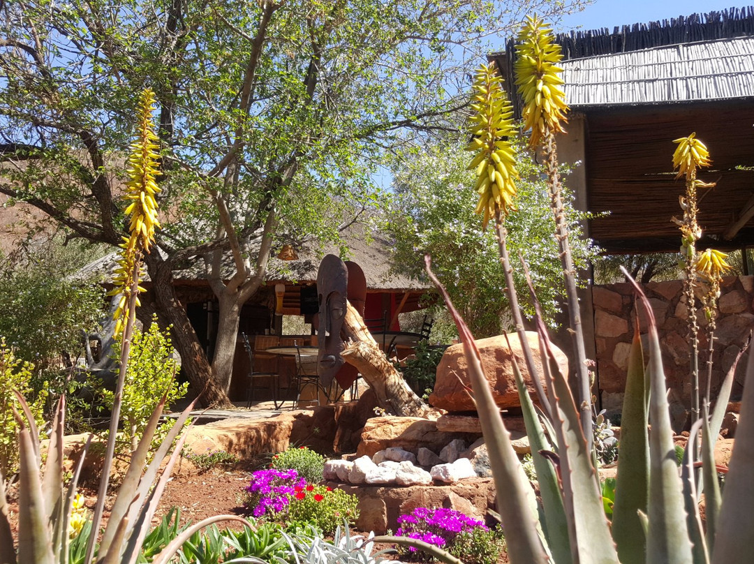 哈特比斯普特餐馆和美食-AfricanSwiss Restaurant