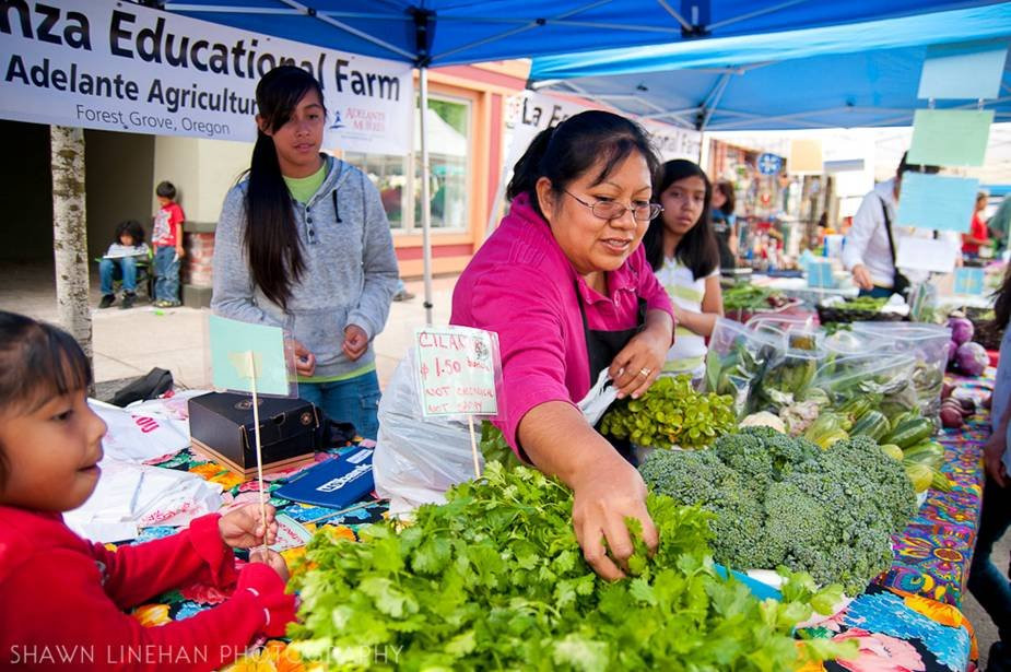 Forest Grove Farmers Market-Forest Grove必去景点