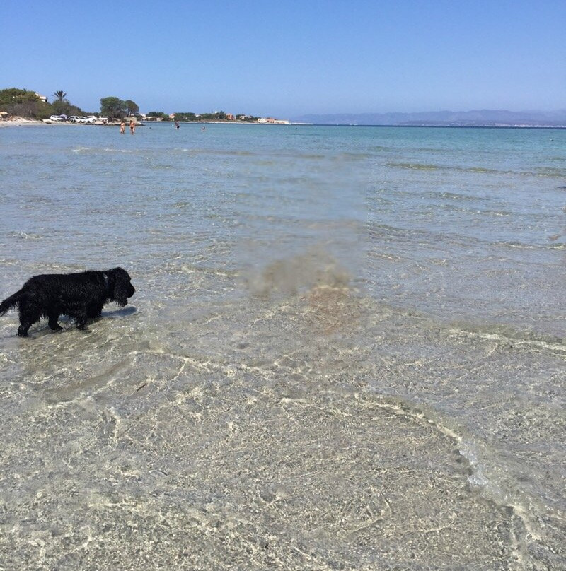 Spiaggia del Giunco Isola di San Pietro-Carloforte必去景点