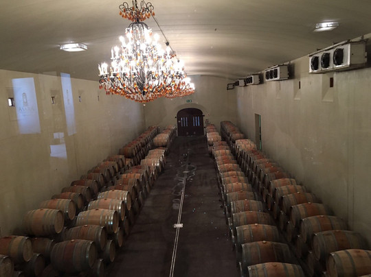 Womerus-斯泰伦博斯必去景点