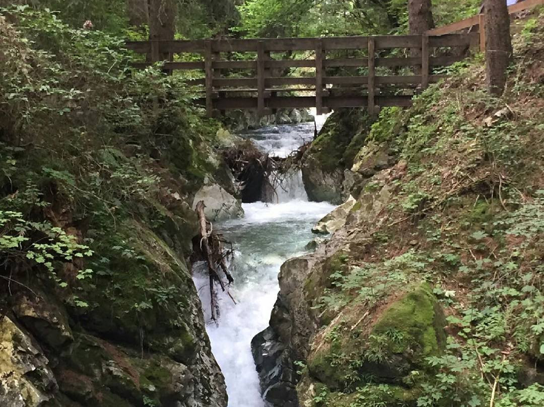 Racines旅游攻略图片