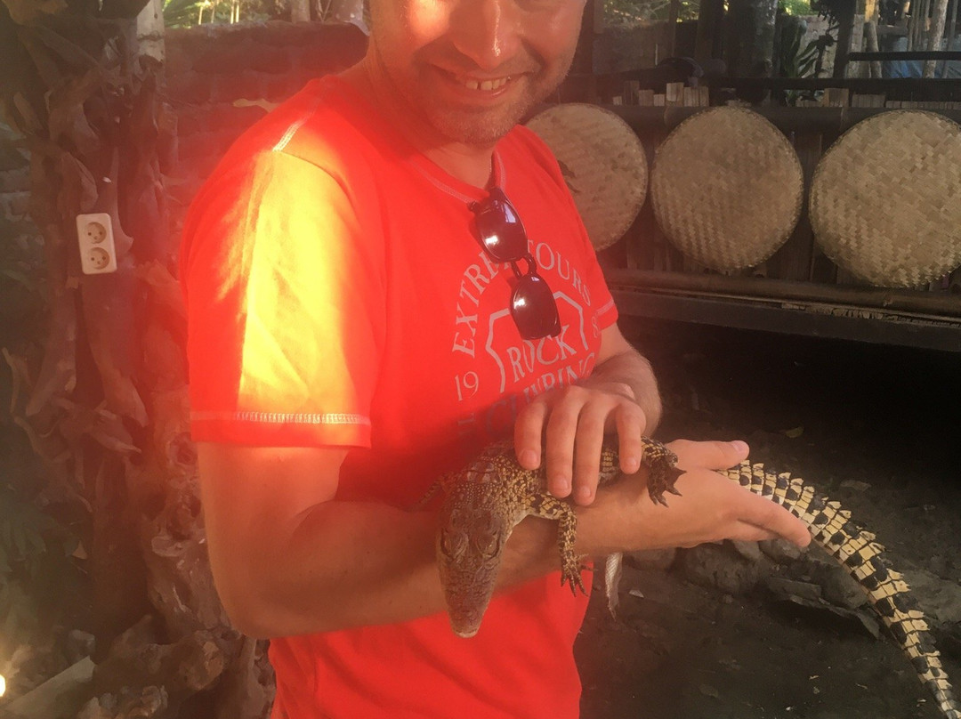 Reptile Rescue Borobudur-Borobudur必去景点