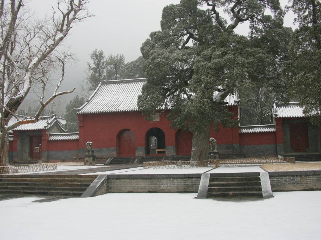 会善寺-登封市必去景点